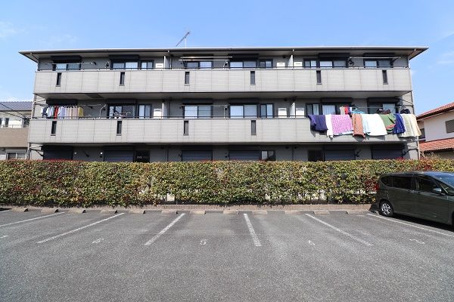 サンジェイド　の画像