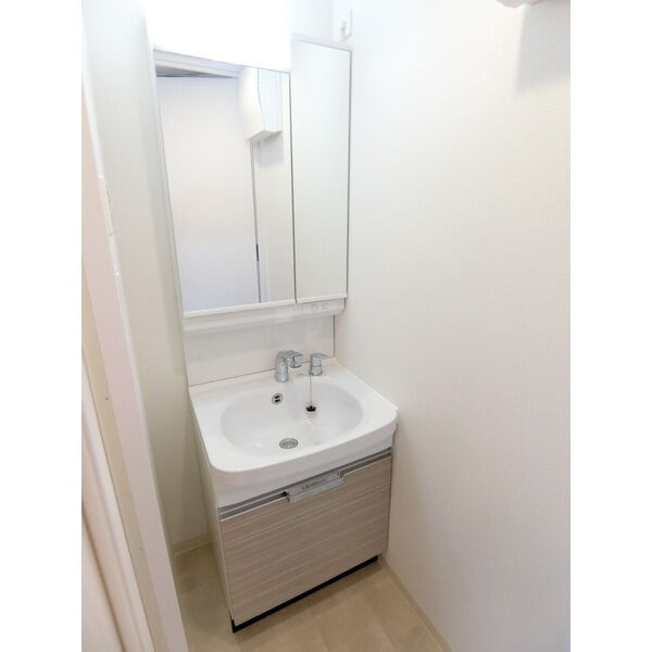 ディアレイシャス浅間町IIIの洗面所