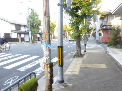 シャトー御池の地図|前面道路