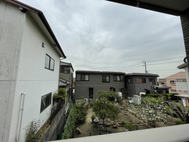 アカンサスⅣの展望