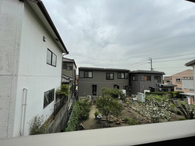 アカンサスⅣの展望