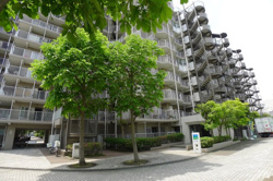 ソフィア茅ヶ崎D棟