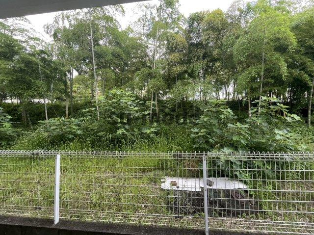 モンテサイドハイツB棟の展望