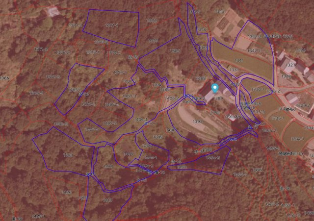 笠岡市大河売地の土地図|売買対象（青枠）