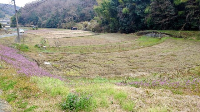 笠岡市大河売地の外観