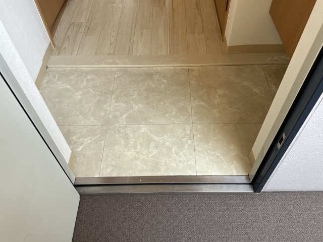 ルミエール野田の玄関