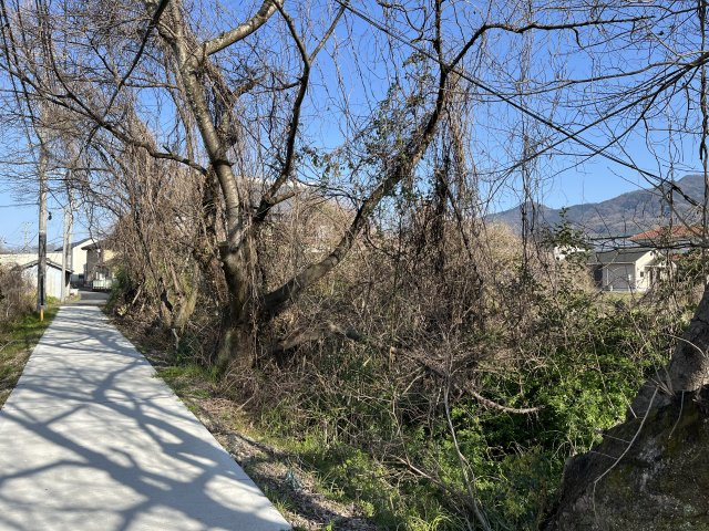 紀の川市粉河・土地・56833の前面道路含む現地写真