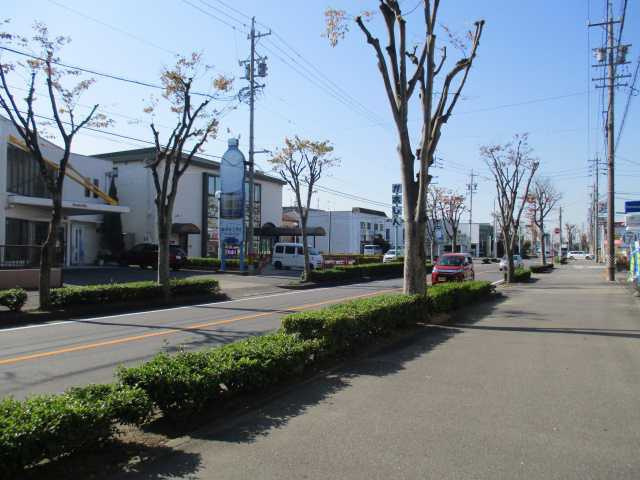 緑丘アクセスストリートの展望