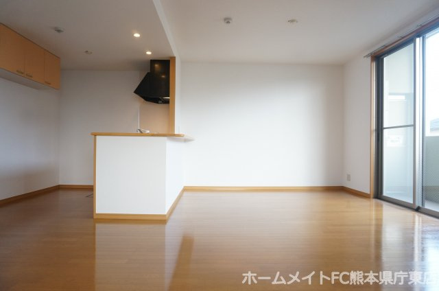 上益城郡益城町大字広崎の賃貸マンションの内装
