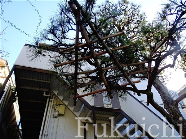 ハイツ寺尾の外観