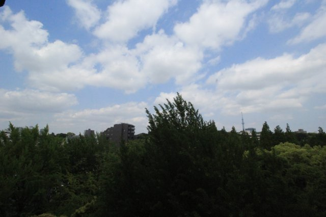 【展望】