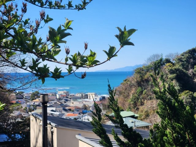 海見え！海まで11分！海と山を堪能できる売地の展望|相模湾を臨む立地