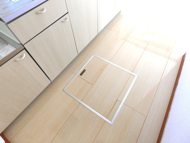 山武市白幡685貸家の収納