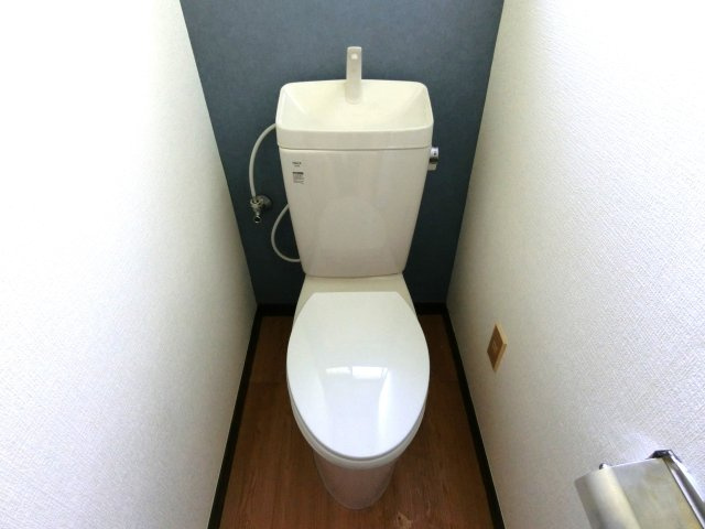 山武市白幡685貸家のトイレ