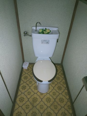 落ち着いた色調のトイレです