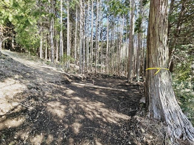 【外観】 | 緑区鳥屋売地 | キャンプ場として整備済み