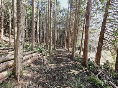 【外観】 | 緑区鳥屋売地 | 隣地はどうなっているのか、レジャー施設が近くにあるのか、スーパーまで近いかなど、お客様のライフスタイルにあわせたイメージが重要です。また、近くにあると困る施設が近くにないかも確認するといいでしょう。