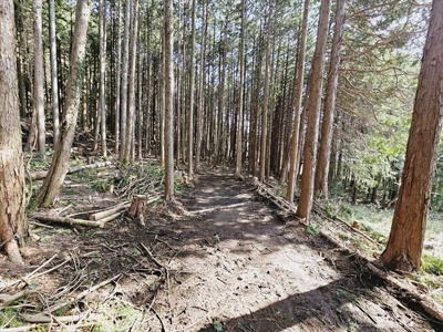 【外観】 | 緑区鳥屋売地 | 土地購入を検討されている場合、購入の前に、売主、隣土地所有者と打ち合わせ出来ると便利です。