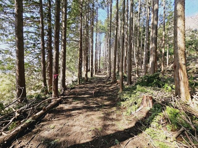 【外観】 | 緑区鳥屋売地 | キャンプ用地としての需要がメインなので、地盤の丈夫さに左右されない土地です。