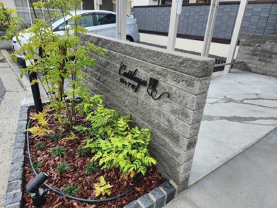 【外観】 | カトレア7