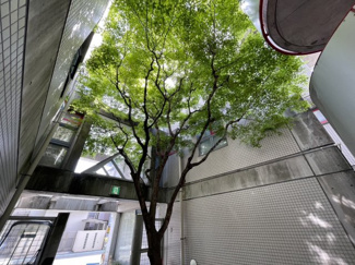 【居間・リビング】 | トニーズフラット