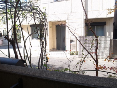 【展望】アヴェンヌ川上