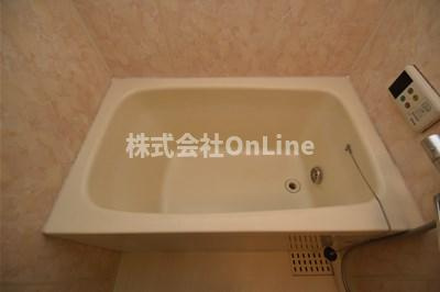 八尾市恩智北町２丁目の賃貸マンションの浴室