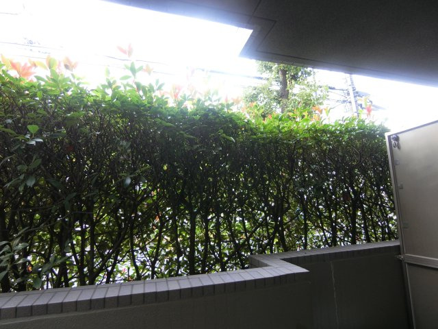 ルーブル武蔵小杉弐番館の展望