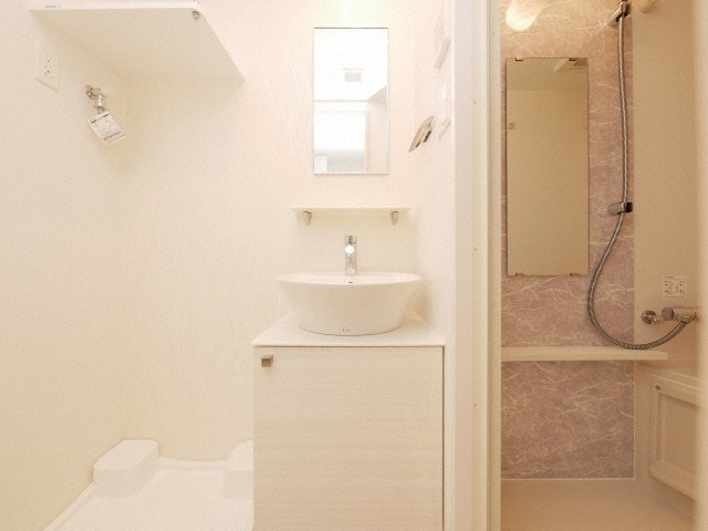 エスリードレジデンス大阪本町の洗面所