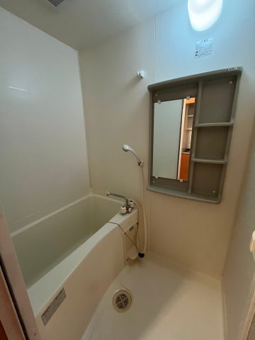 ドムール天満の浴室