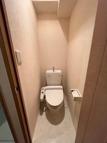 ドムール天満のトイレ