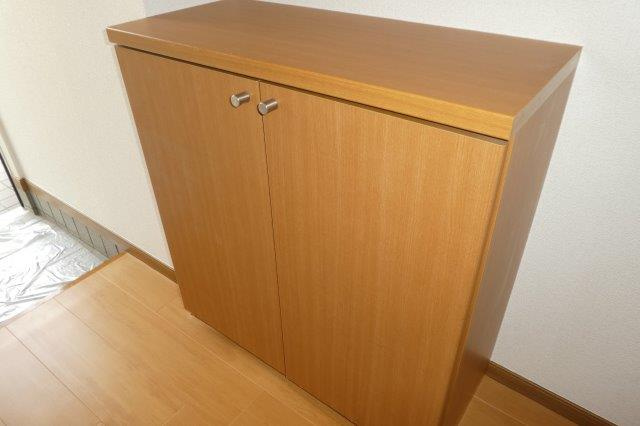 マーヴェラスAの内装|シューズボックス