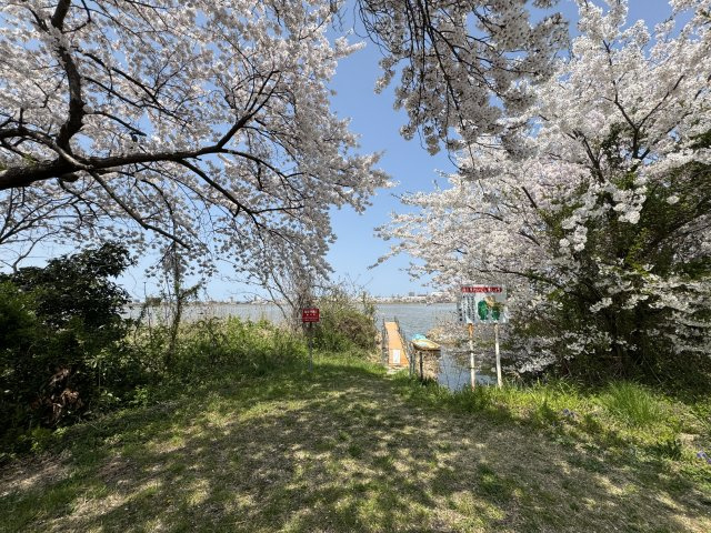 クレイドルガーデン　中央区長潟第２　全３棟の周辺