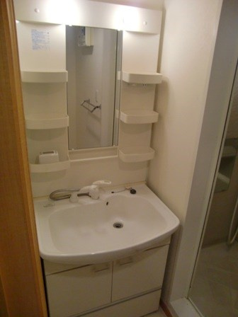グリーンコートの洗面所