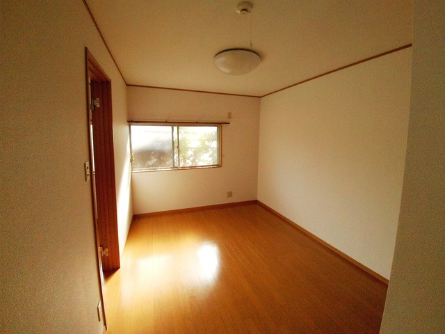 土居アパートの居間・リビング