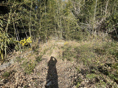 【外観】 | 西部町　祝崎郷シーサイドタウン　売地 | 残されている階段を上った先の、土地の現況です