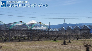 【展望】 | 南アルプス市在家塚 Ｈ24年セキスイハイム施工 オール電化中古 | 富士山一望の眺望です。