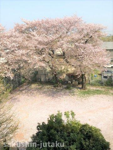 八千代台ハイツの展望