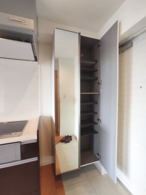 【玄関】 | ニューガイア天神北 | 別号室の写真になります。現況優先。