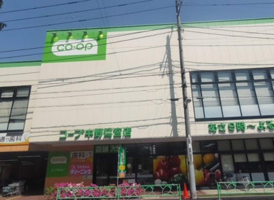 【周辺】 | 中村南パークホームズ | コープ 中野鷺宮店まで582ｍ