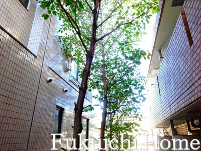 【展望】 | メゾンドNSK