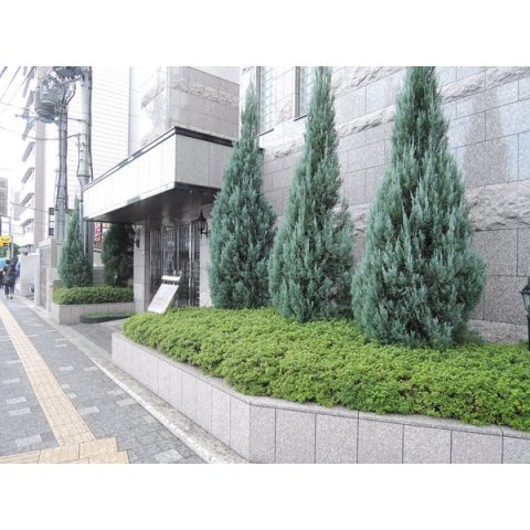 【エントランス】 | ルミエール八尾駅前