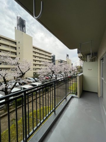 駅近＆３沿線利用可能●リフォーム完了の美室●南向き３ＬＤＫ●ペット飼育可能●ユニ宇治マンション１号棟のバルコニー|バルコニー