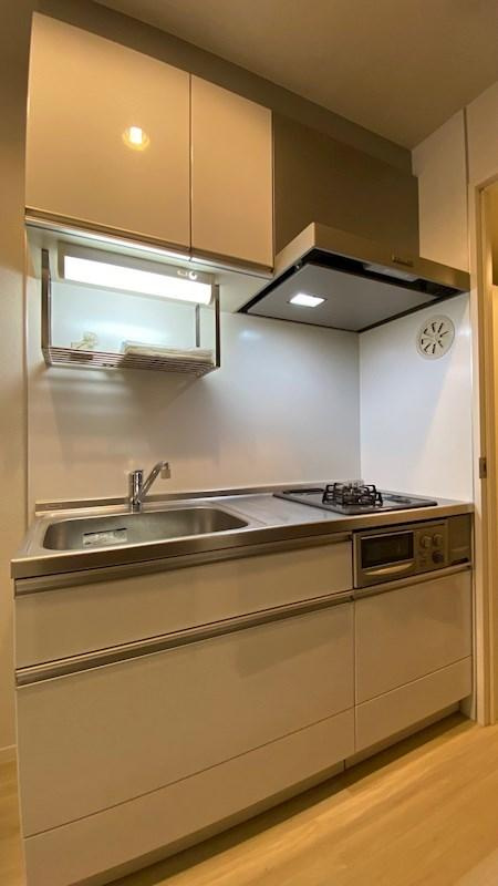 川崎市多摩区菅４丁目の賃貸マンションのキッチン