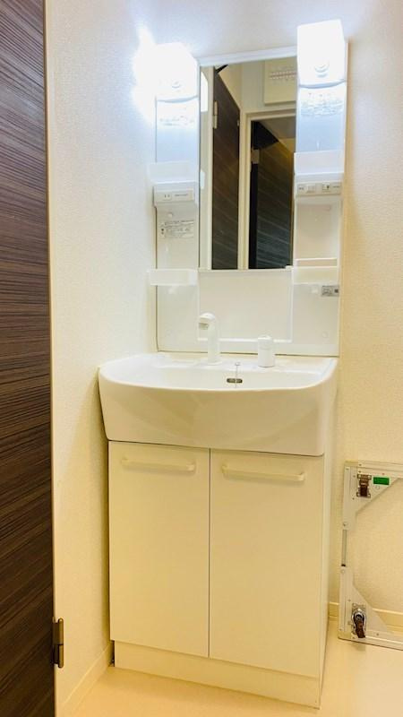 川崎市多摩区菅４丁目の賃貸マンションの洗面所