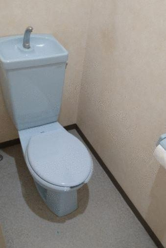 狛江市岩戸南３丁目の賃貸マンションのトイレ