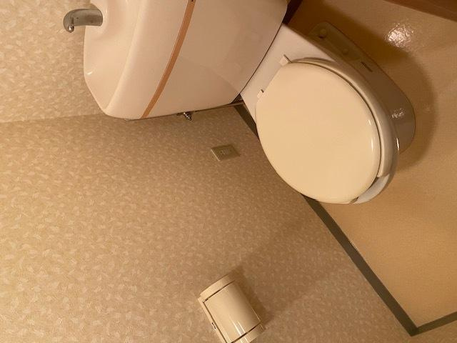 川崎市多摩区中野島４丁目の賃貸マンションのトイレ