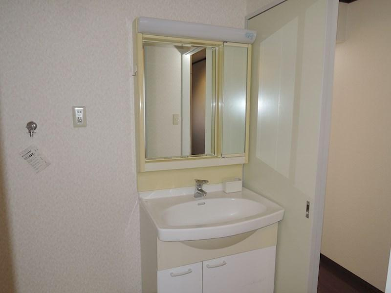 川崎市多摩区菅稲田堤１丁目の賃貸マンションの洗面所