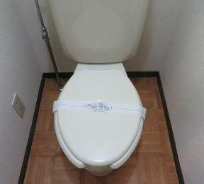 菱和パレス向ケ丘遊園のトイレ