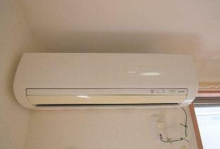 プリムローズのその他